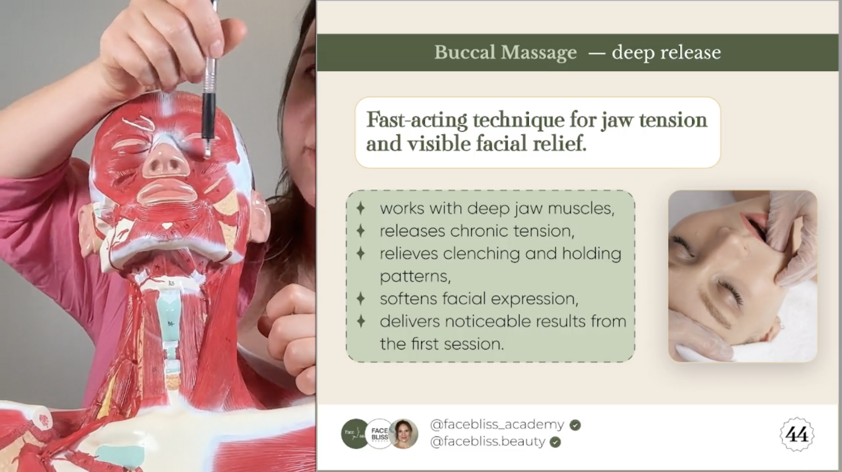Facial anatomy and Buccal massage teaching materials from Face Bliss Academy